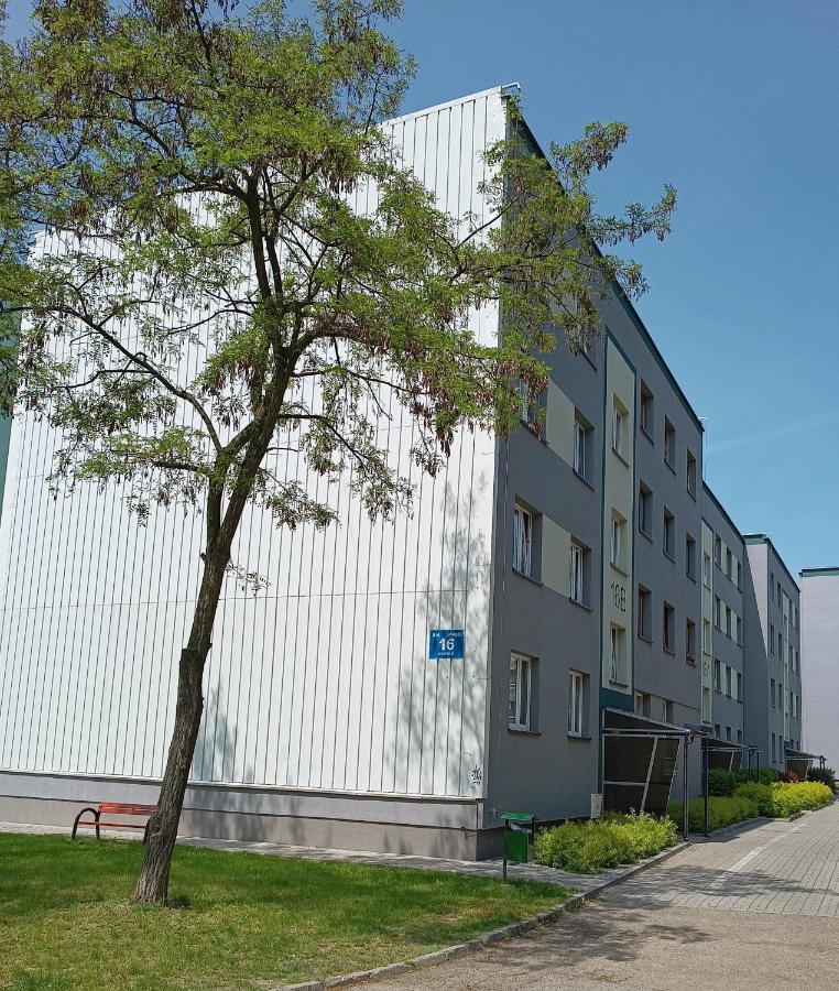 Bursztynowy Apartament Tarnowskie Góry Exteriér fotografie